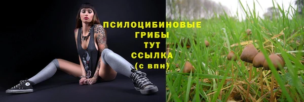 гашик Киреевск